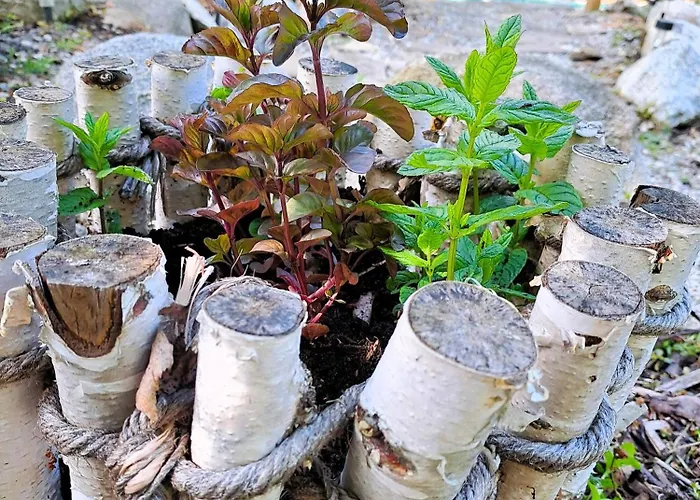 Chato Liptov * Liptovský Mikuláš