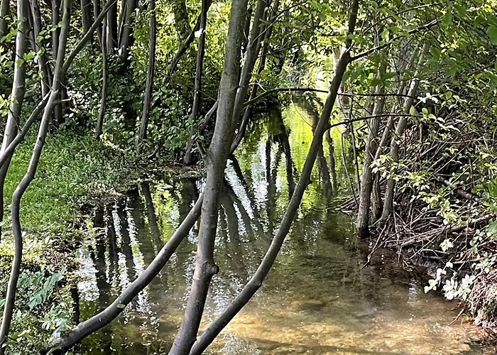 Chato Liptov 샬레 *